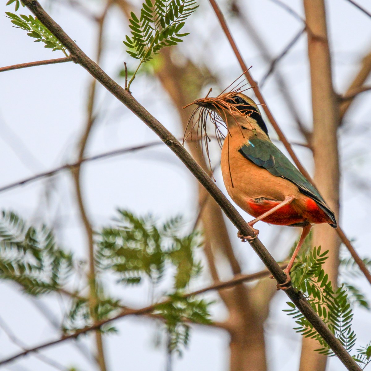 Lights, Camera, Action