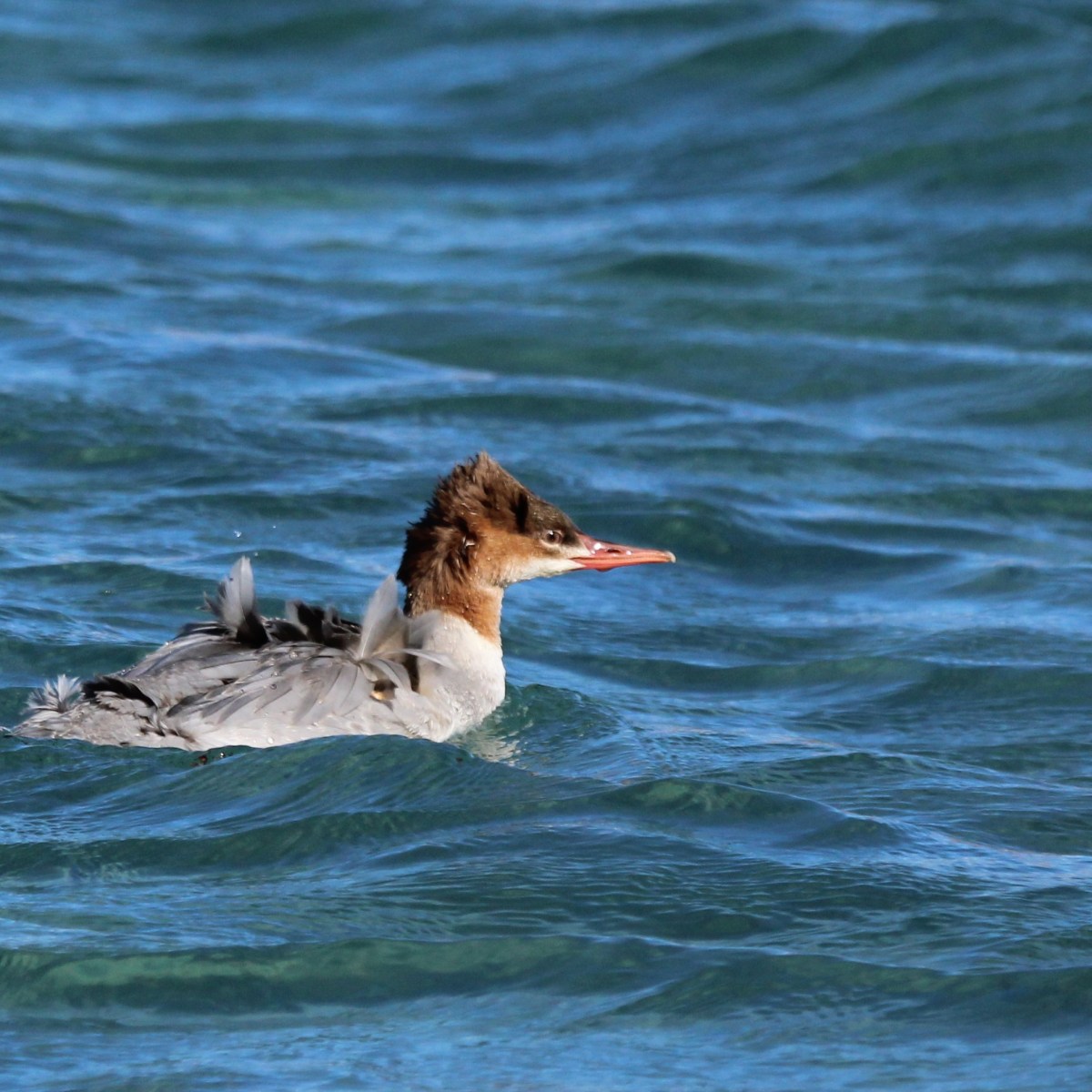 Ladakh, a journey, not a&nbsp;destination
