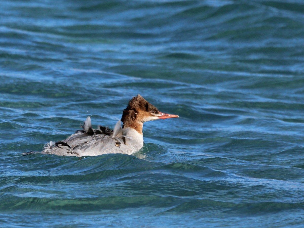Ladakh, a journey, not a&nbsp;destination